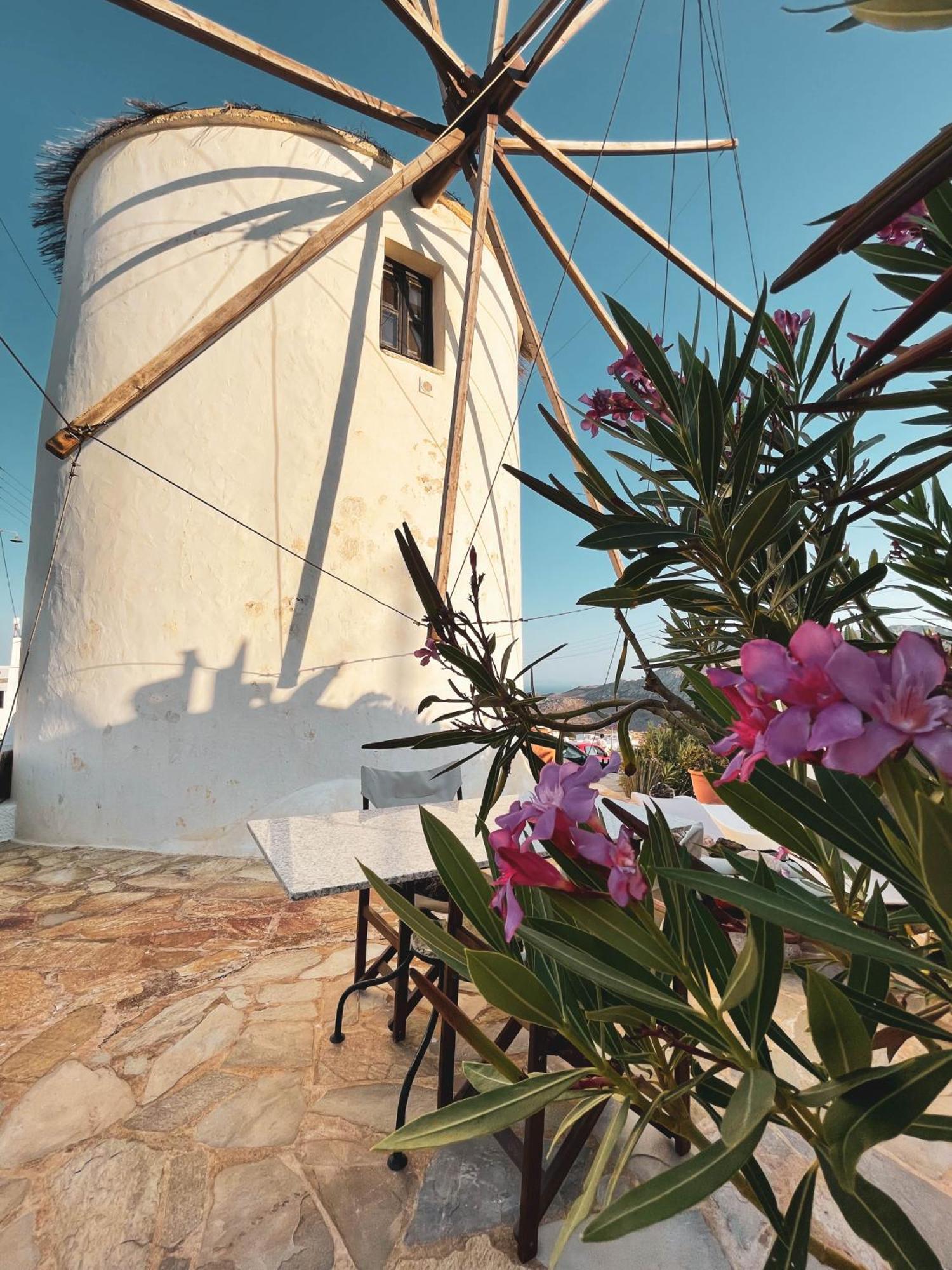 Hébergement de vacances The Windmill *